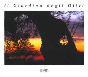 Visualizza i dettagli per Giardino degli olivi Immagine di Giardino degli olivi